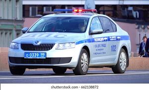 Police patrol Car.jpg